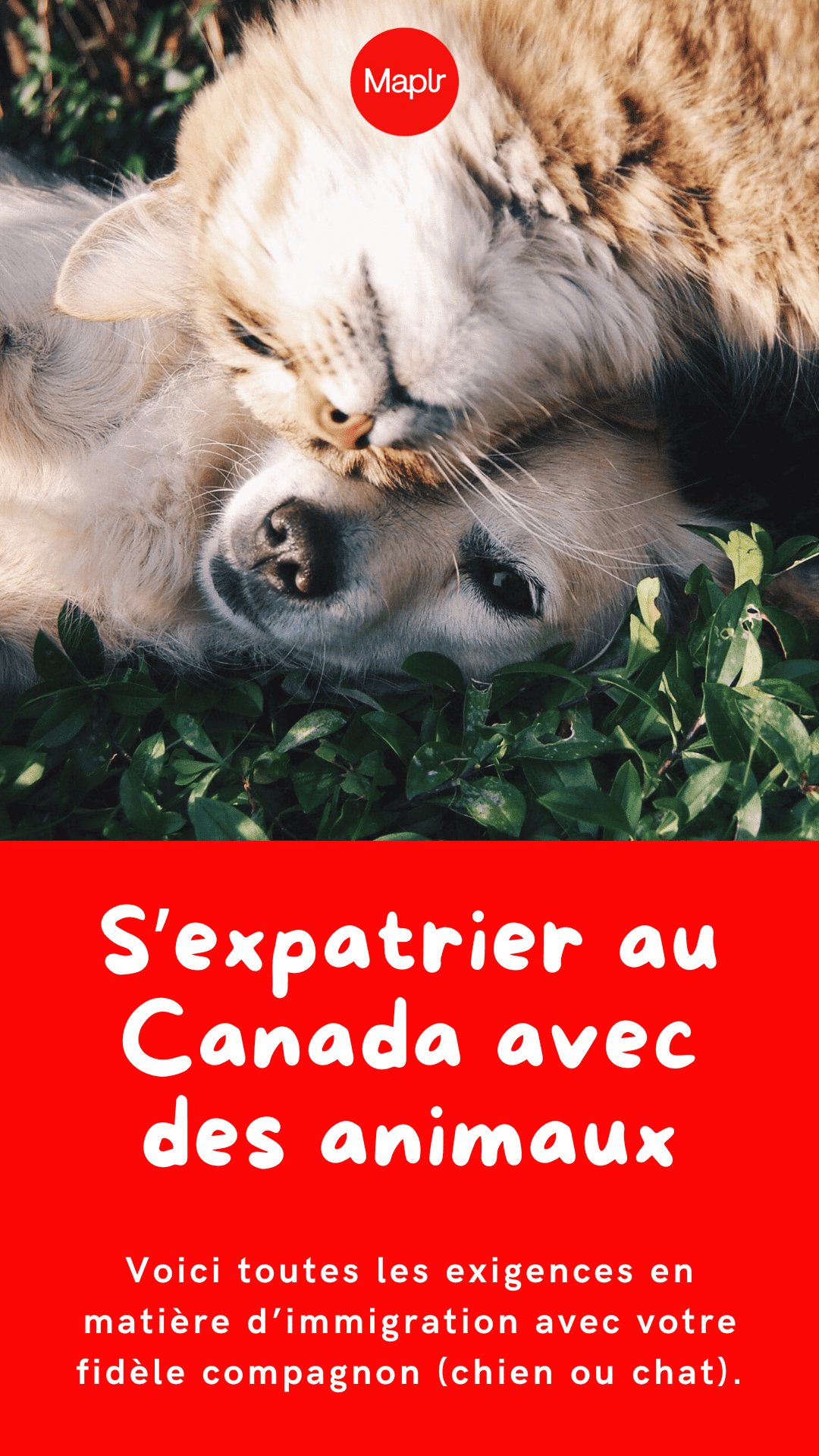 expatrier-Canada-animaux