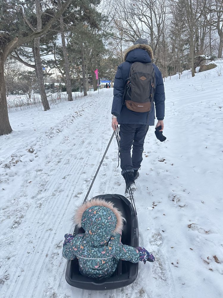 La luge dans un parc de quartier : l'activité la moins chère et la plus rentable de l'hiver